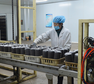 滴道區沅予菌包廠:為實現年產700萬袋菌包開足馬力