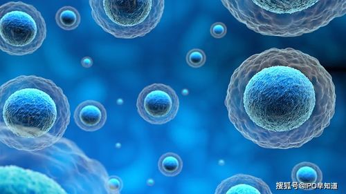 康立明生物啟動輔導(dǎo),idg資本 鼎暉投資等為主要投資方