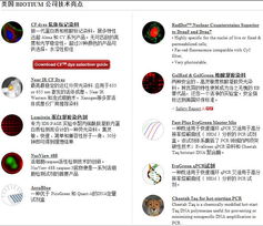 biotium產品中國區總代理 上海開放生物科技